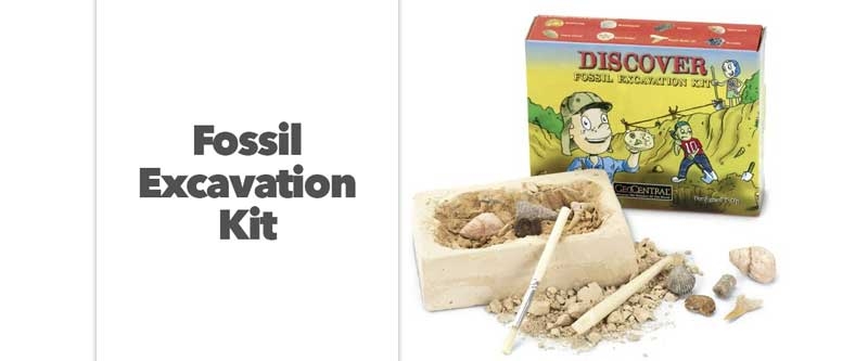 Fossil Excavation Kit