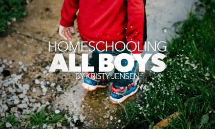 Homeschooling All Boys