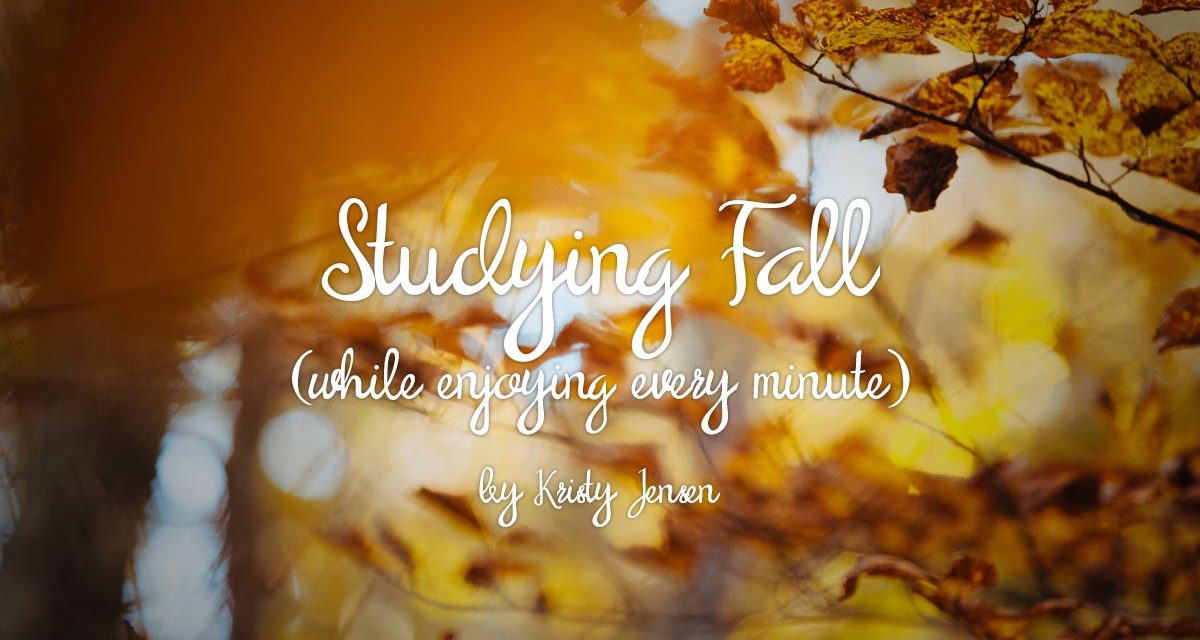 Studying Fall While Enjoying Every Minute