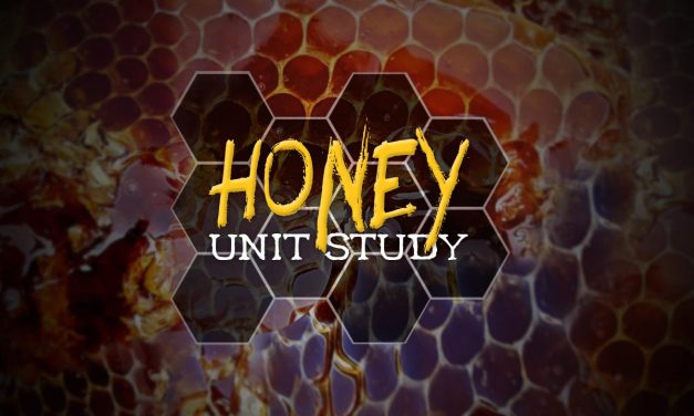 A Honey of a Unit Study