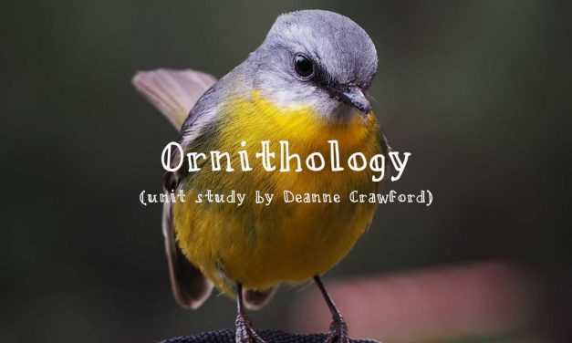 Unit study – ornithology