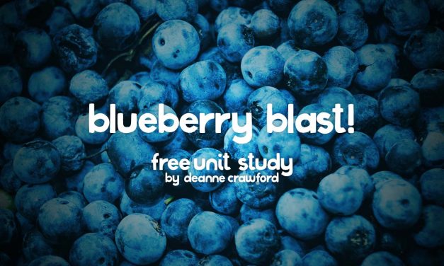 Blueberry Blast!