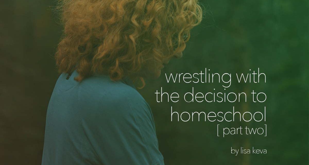 Wrestling with the decision to homeschool – part two