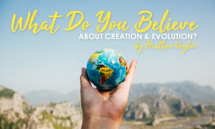 What Do You Believe About Creation/Evolution?