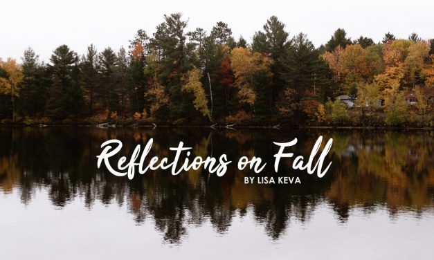 Reflections On Fall