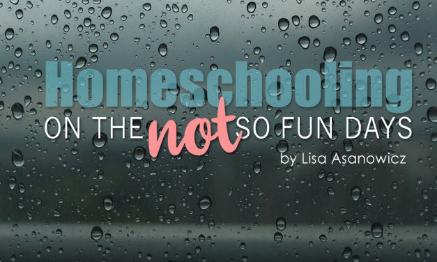 Homeschooling On The Not So Fun Days