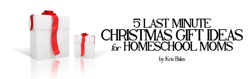5 Last Minute Christmas Gift Ideas for Homeschool Moms