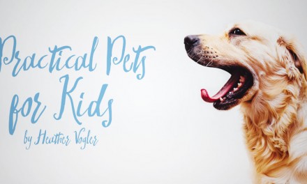 3 Practical Pets for Kids