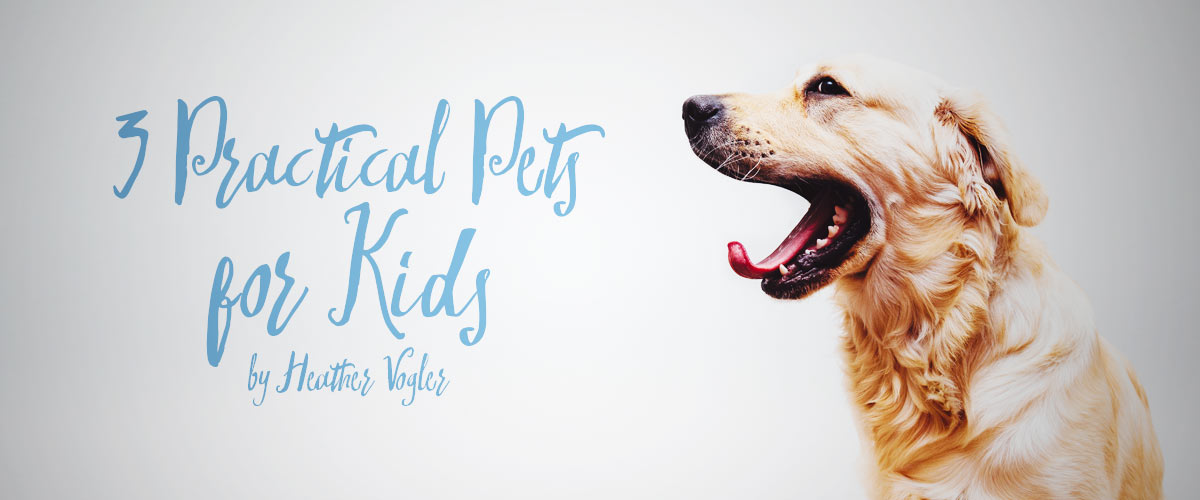 3 Practical Pets for Kids