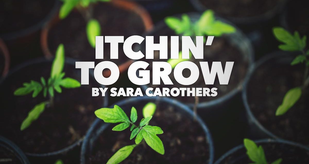 Itchin’ to Grow…