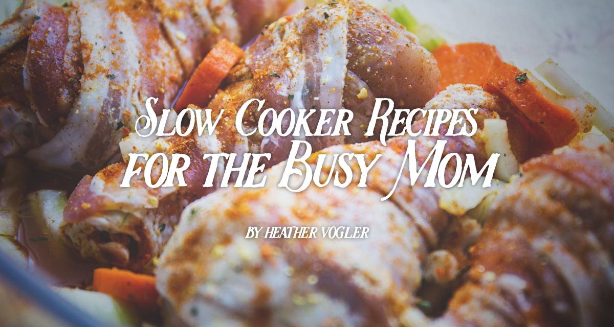 Slow Cooker Recipes for the Busy Mom