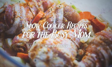 Slow Cooker Recipes for the Busy Mom