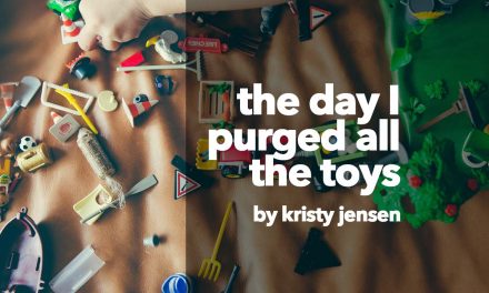 The day I purged all the toys