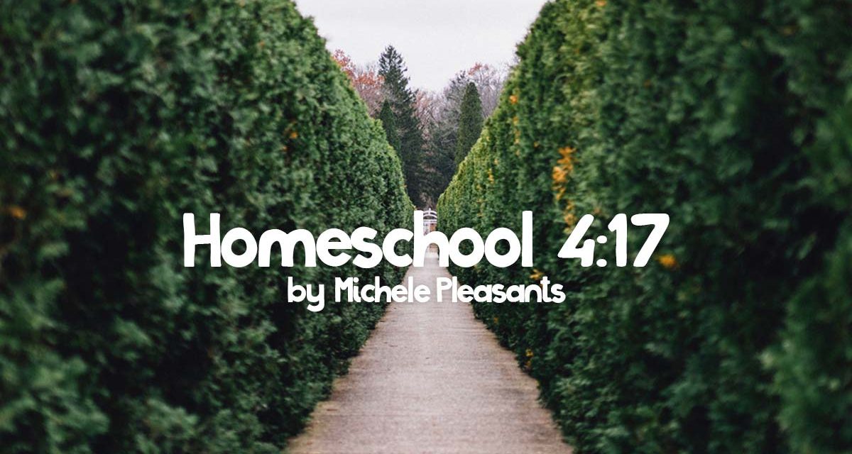 Homeschooling 4:17 by Michele Pleasants