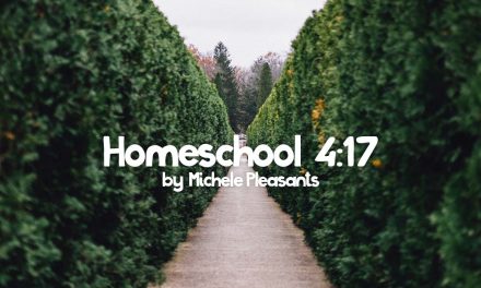 Homeschooling 4:17 by Michele Pleasants