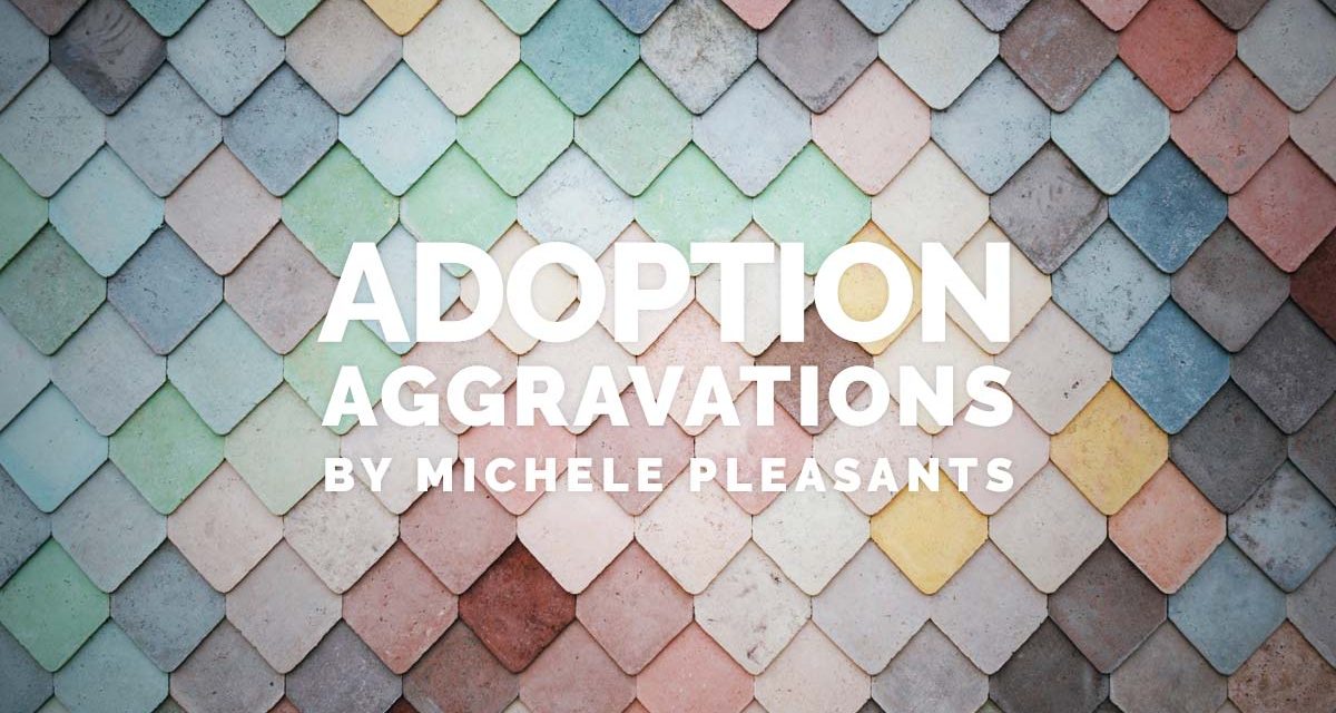 Adoption Aggravations
