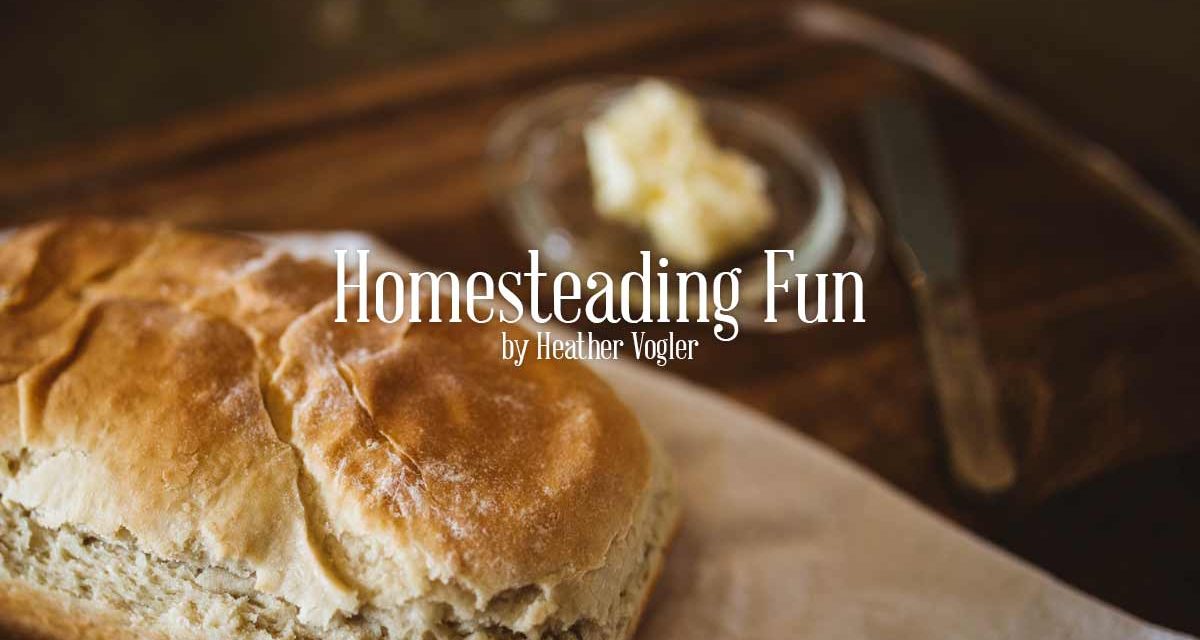 Homesteading Fun