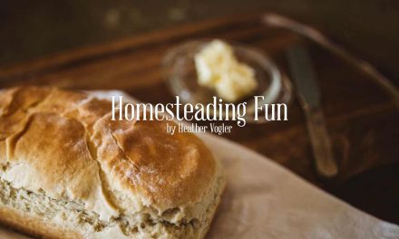 Homesteading Fun