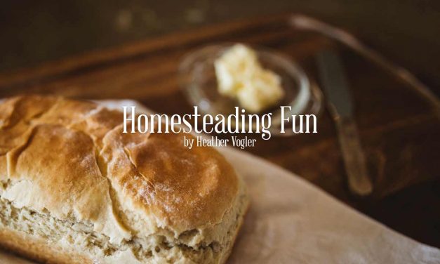 Homesteading Fun