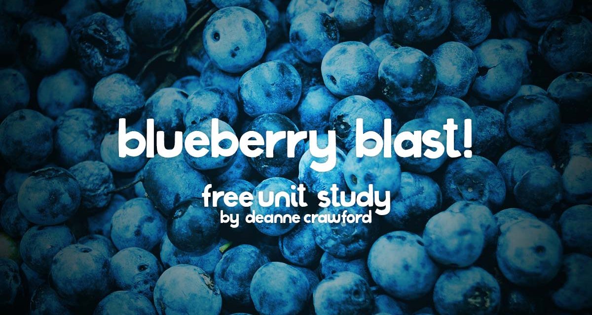 Blueberry Blast!