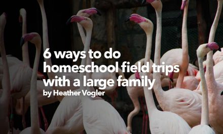 6 ways to do a homeschool field trip with a large family
