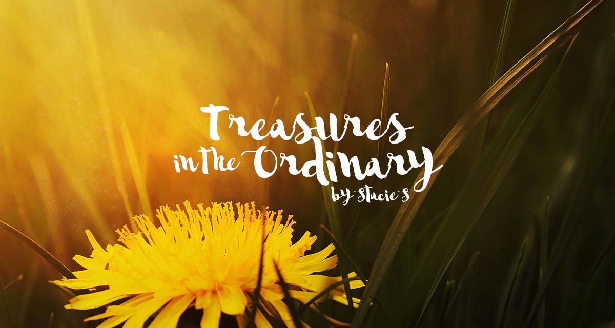 Treasures in the Ordinary