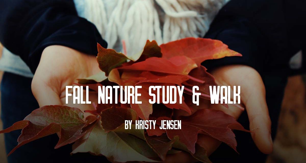 Fall nature study and walk