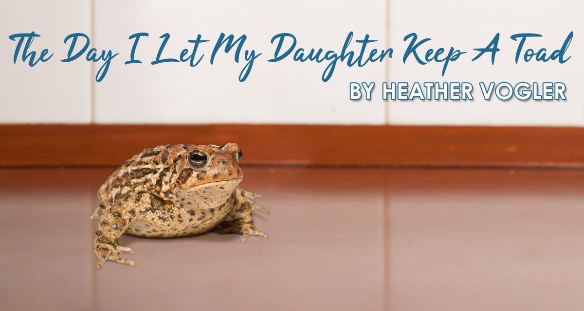 The Day I Let My Daughter Keep A Toad