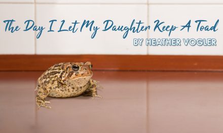 The Day I Let My Daughter Keep A Toad
