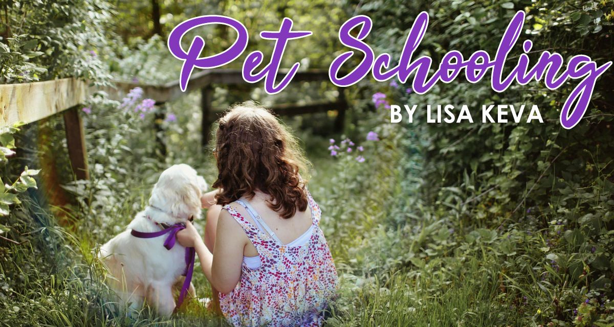 Pet Schooling