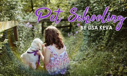 Pet Schooling