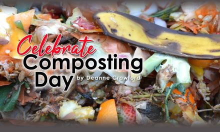 May Unit Study: Composting Day
