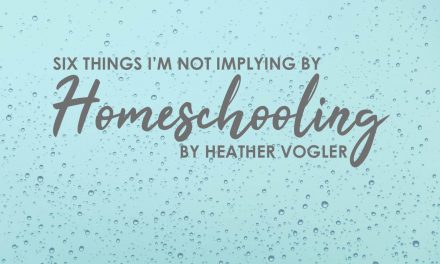 6 Things I Am Not Implying By Homeschooling