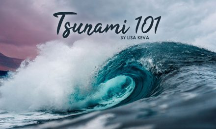 Tsunami 101
