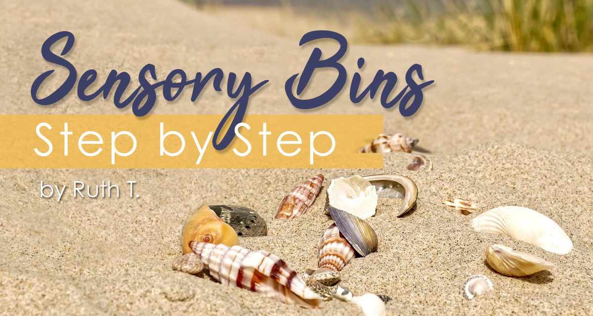 Sensory Bins Step by Step