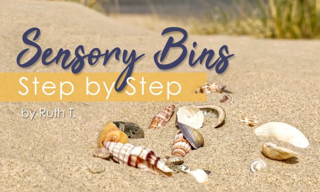 Sensory Bins Step by Step