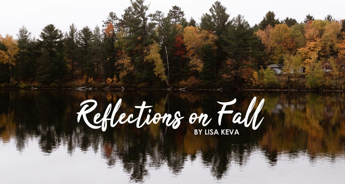 Reflections On Fall