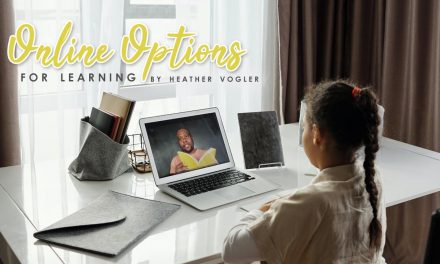 Online Options For Learning