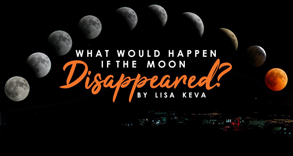 What Would Happen If The Moon Disappeared Our Homeschool Forum