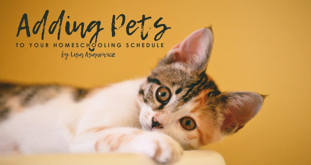 Adding Pets To Your Homeschooling Schedule
