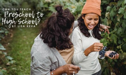 Can You Teach Preschool To High School?