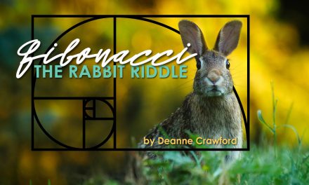 The Rabbit Riddle (Fibonacci Unit Study)