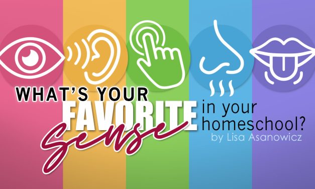 What’s Your Favorite Sense in your Homeschool