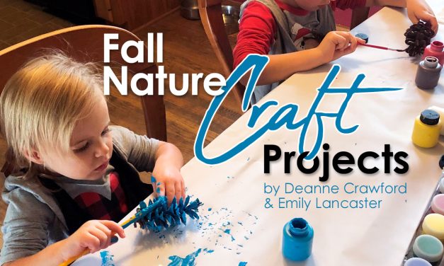 Fall Nature Craft Projects
