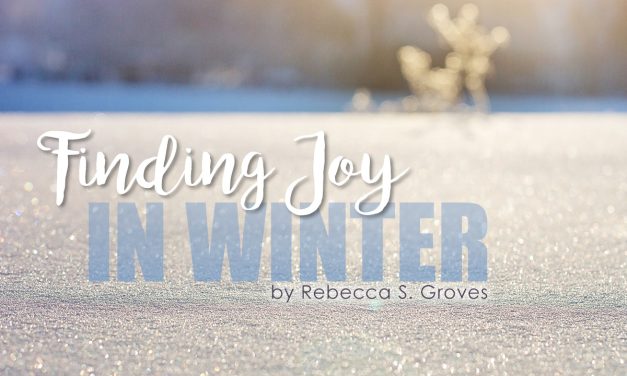 Finding Joy in Winter
