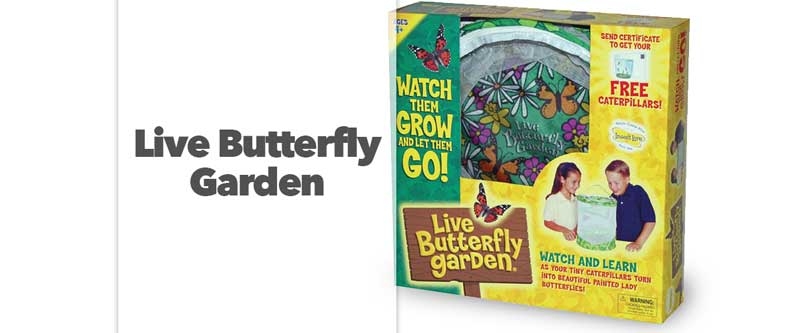 Live Butterfly Garden