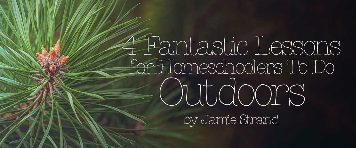4 Fantastic Lessons for Homeschoolers To Do Outdoors