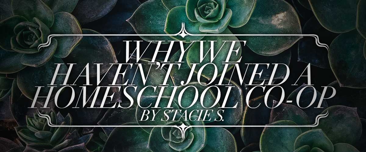 Why We Haven’t Joined a Homeschool Co-Op