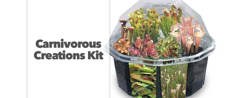 Carnivorous Creations Kit
